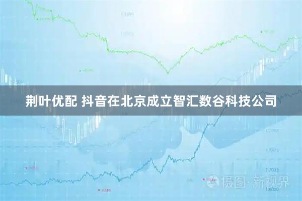 荆叶优配 抖音在北京成立智汇数谷科技公司