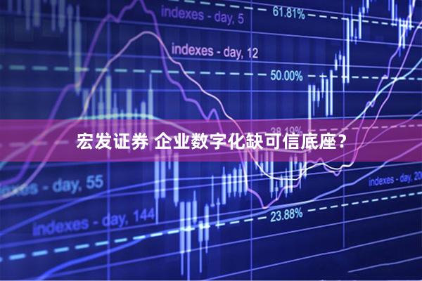 宏发证券 企业数字化缺可信底座？